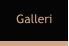 Galleri